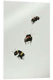 Obraz na szkle akrylowym Three bumblebees