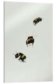 Gallery print Three bumblebees