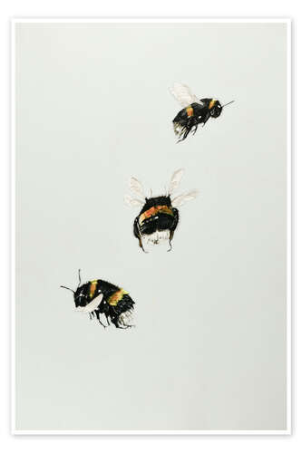 Juliste Three bumblebees