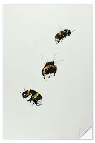 Muursticker Three bumblebees