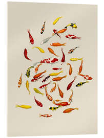 Acrylglasbild Koi Fische auf Beige