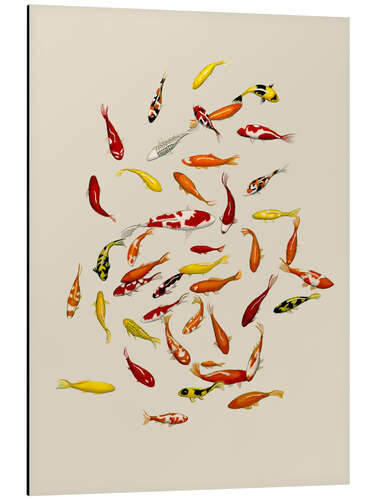 Tableau en aluminium Koi fish on cream