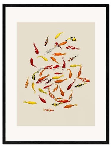 Framed art print Koi fish on cream