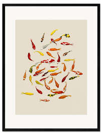 Framed art print Koi fish on cream - Kate Kingdom