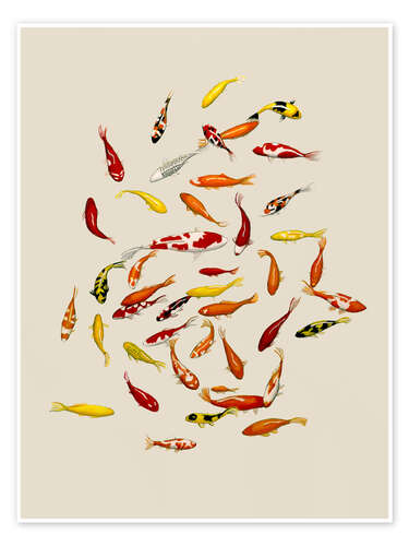 Plakat Koi fish on cream