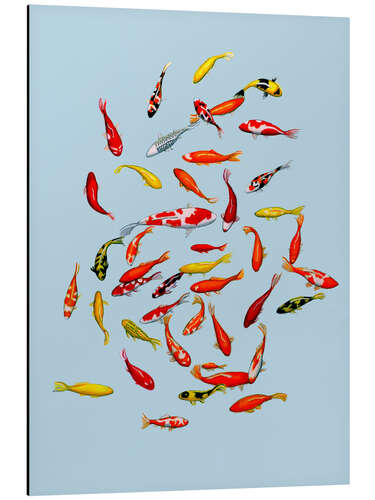 Tableau en aluminium Koi fish on pale blue