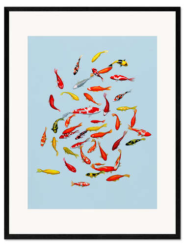 Framed art print Koi fish on pale blue