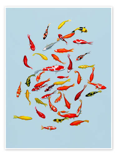 Plakat Koi fish on pale blue