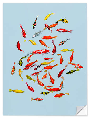 Vinilo para la pared Koi fish on pale blue