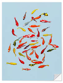 Vinilo para la pared Koi fish on pale blue - Kate Kingdom