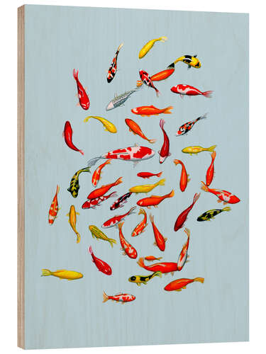 Wood print Koi fish on pale blue