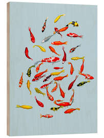Tableau en bois Koi fish on pale blue - Kate Kingdom