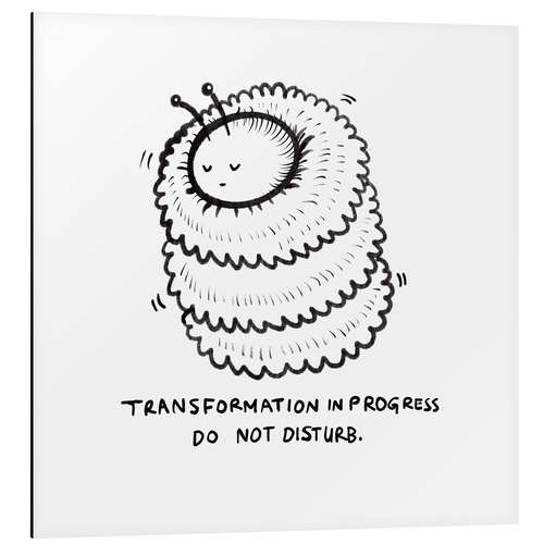 Aluminium print Transformation in progress, do not disturb