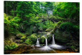 Acrylic print Bridge and Waterfall at the Schiessentümpel, Luxembourg - Dieter Meyrl