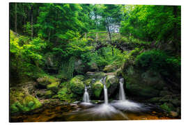 Cuadro de aluminio Bridge and Waterfall at the Schiessentümpel, Luxembourg - Dieter Meyrl