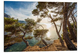 Quadro em alumínio Rocky Coast at the Bay Platja des Calo, Mallorca - Christian Müringer