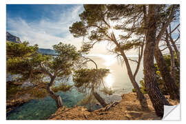 Wall sticker Rocky Coast at the Bay Platja des Calo, Mallorca - Christian Müringer