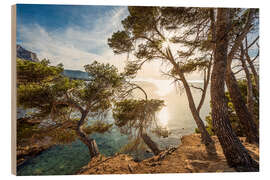 Obraz na drewnie Rocky Coast at the Bay Platja des Calo, Mallorca - Christian Müringer