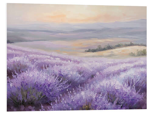 Cuadro de PVC Fields of Lavender in the Sunset