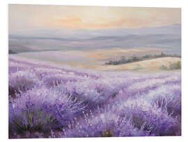 Cuadro de PVC Fields of Lavender in the Sunset - TAlex