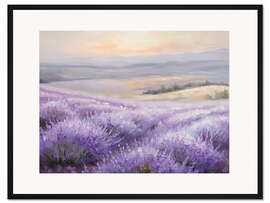 Gerahmter Kunstdruck Lavendelfelder im Sonnenuntergang