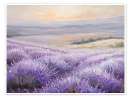 Wall print Fields of Lavender in the Sunset - TAlex