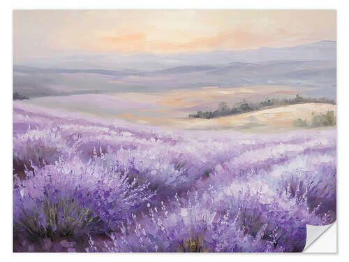 Sticker mural Fields of Lavender in the Sunset