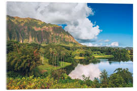 Quadro em acrílico Hoomaluhia Botanischer Garten in Oahu, Hawaii - Chiara Salvadori
