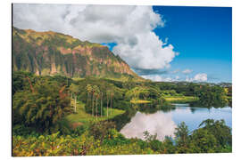 Quadro em alumínio Hoomaluhia Botanischer Garten in Oahu, Hawaii