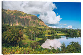 Quadro em tela Hoomaluhia Botanischer Garten in Oahu, Hawaii - Chiara Salvadori