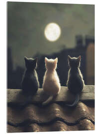Stampa su vetro acrilico Three kittens in the moonlight