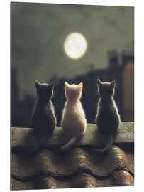 Cuadro de aluminio Three kittens in the moonlight