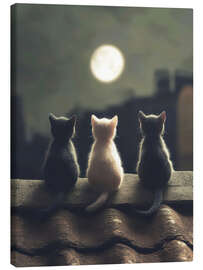 Canvas print Three kittens in the moonlight