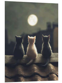 Obraz na PCV Three kittens in the moonlight