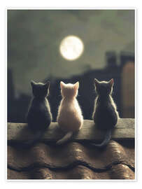 Poster Three kittens in the moonlight