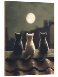 Puutaulu Three kittens in the moonlight