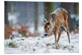 Hartschaumbild Rehkitz im Winterwald
