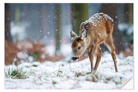 Wall sticker Fawn in the winter forest