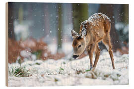Stampa su legno Fawn in the winter forest - Christian Müringer