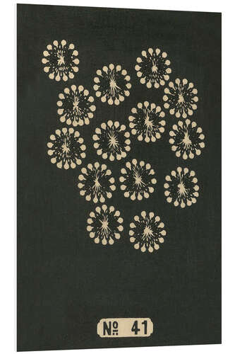 Foam board print Night Fireworks no 41, 1883