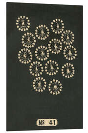 Quadro em plexi-alumínio Night Fireworks no 41, 1883