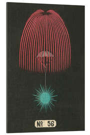 Quadro em plexi-alumínio Night Fireworks no 56, 1883
