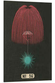 Magnettafel Nachtfeuerwerk Nr. 56, 1883