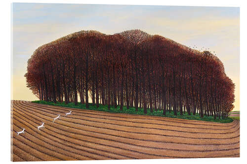Acrylic print Dorset Clump of Trees
