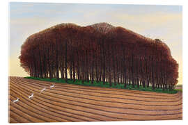 Acrylic print Dorset Clump of Trees - Liz Wright