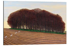 Aluminium print Dorset Clump of Trees - Liz Wright