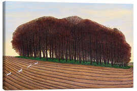 Canvas print Dorset Clump of Trees - Liz Wright