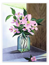 Wall print Still life with pink clematis - Christopher Ryland