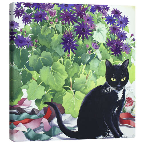 Canvastavla Senetti Plant and Cat, 2018