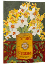 Acrylic print White and yellow daffodils in Colman's mustard tin - Jennifer Abbott